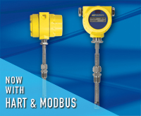 ST51/ST51A Gas Flow Meters