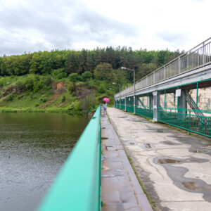 A girl with an umbrella in cloudy weather for a walk in the forest, stands on a bridge against the backdrop of a landscape.